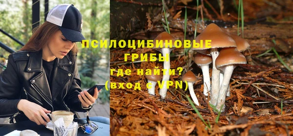spice Алексин