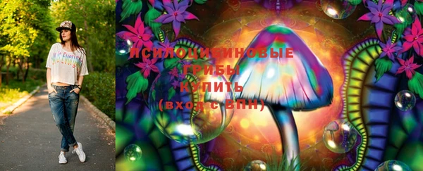 винт Алзамай