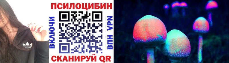 Галлюциногенные грибы Cubensis  Лихославль 