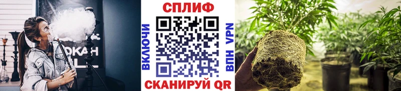 где купить наркоту  Лихославль  МАРИХУАНА тримм 